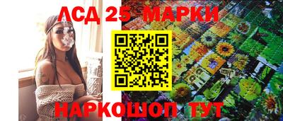индика Рыбинск